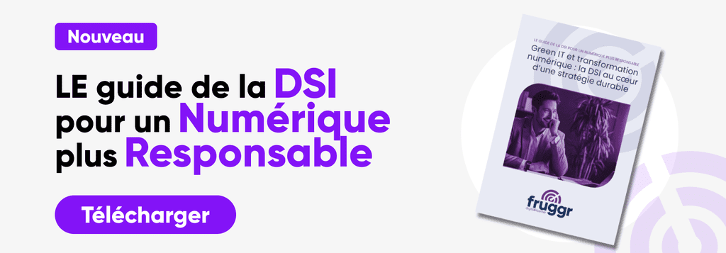 Bannière télécharger guide DSI