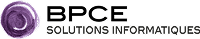 BPCE SI logo